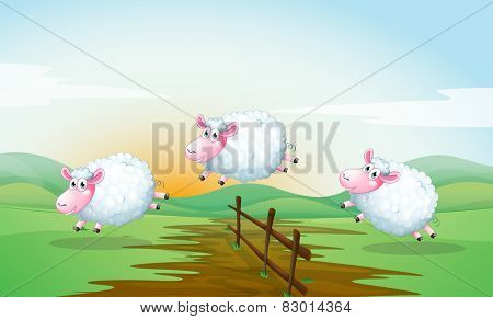 Illustration of three sheeps jumping over a fence