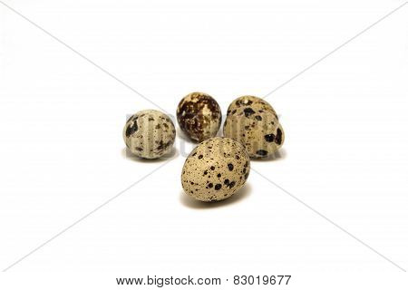 group of quail eggs, isolated on white background