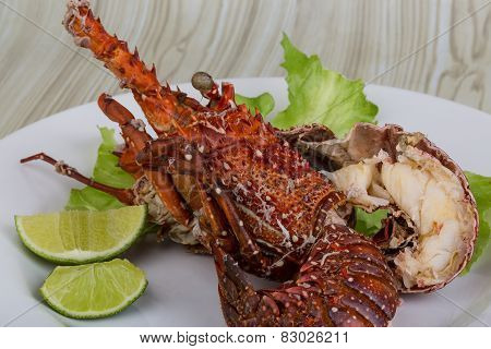 Spiny Lobster