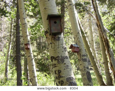 Birdhouses