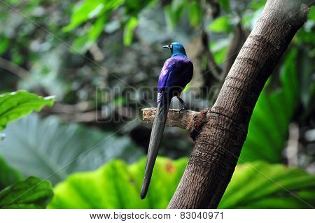 Travel Photos Of New York - Manhattan