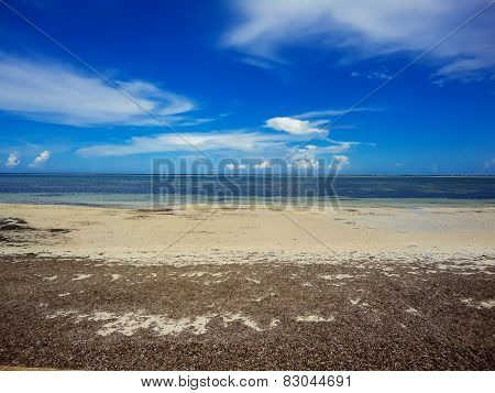Beach At Mombasa, Kenya