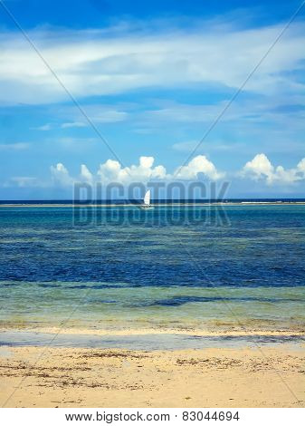 Beach At Mombasa, Kenya