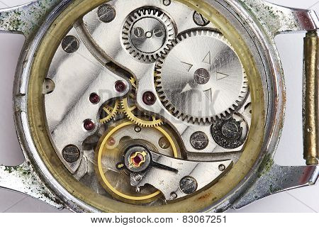 Clockwork Close-up
