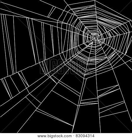 white spider web isolated on the  black background
