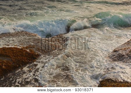 Rocky Shore.