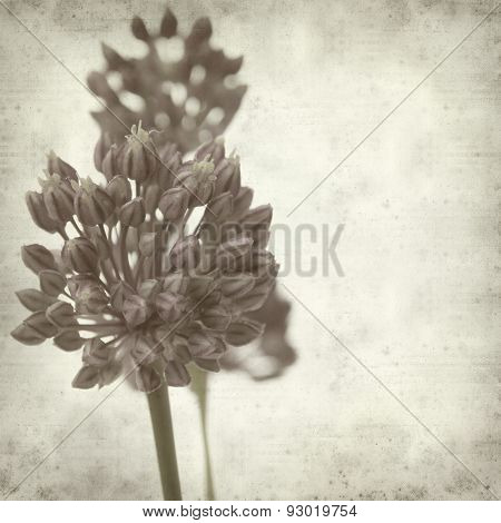Textured Old Paper Background