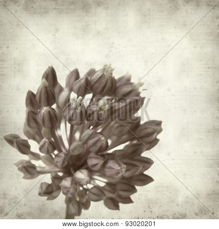 Textured Old Paper Background