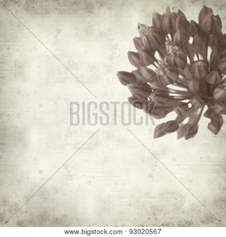 Textured Old Paper Background