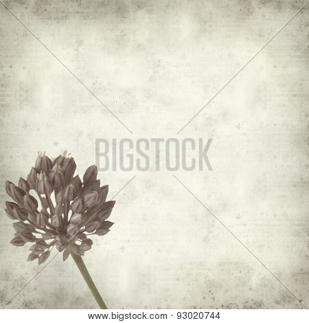 Textured Old Paper Background