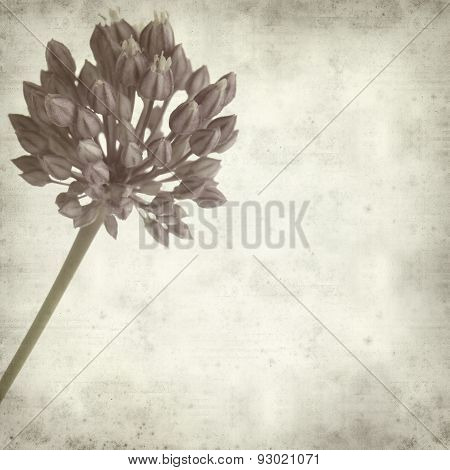 Textured Old Paper Background