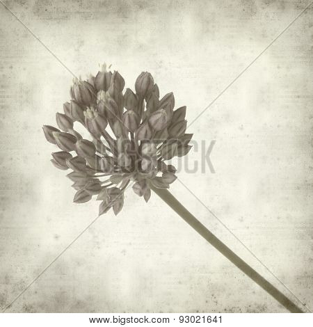 Textured Old Paper Background