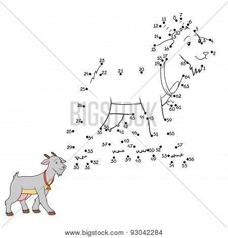 Numbers Game (goat)