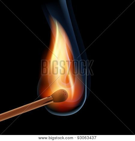 burning wooden match on a black background eps10