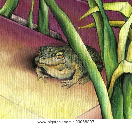 Big toad on the background of the picturesque reeds