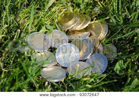 Coins lie in the grass