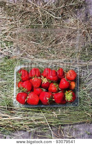 Fresh Strawberries In Plastic Box