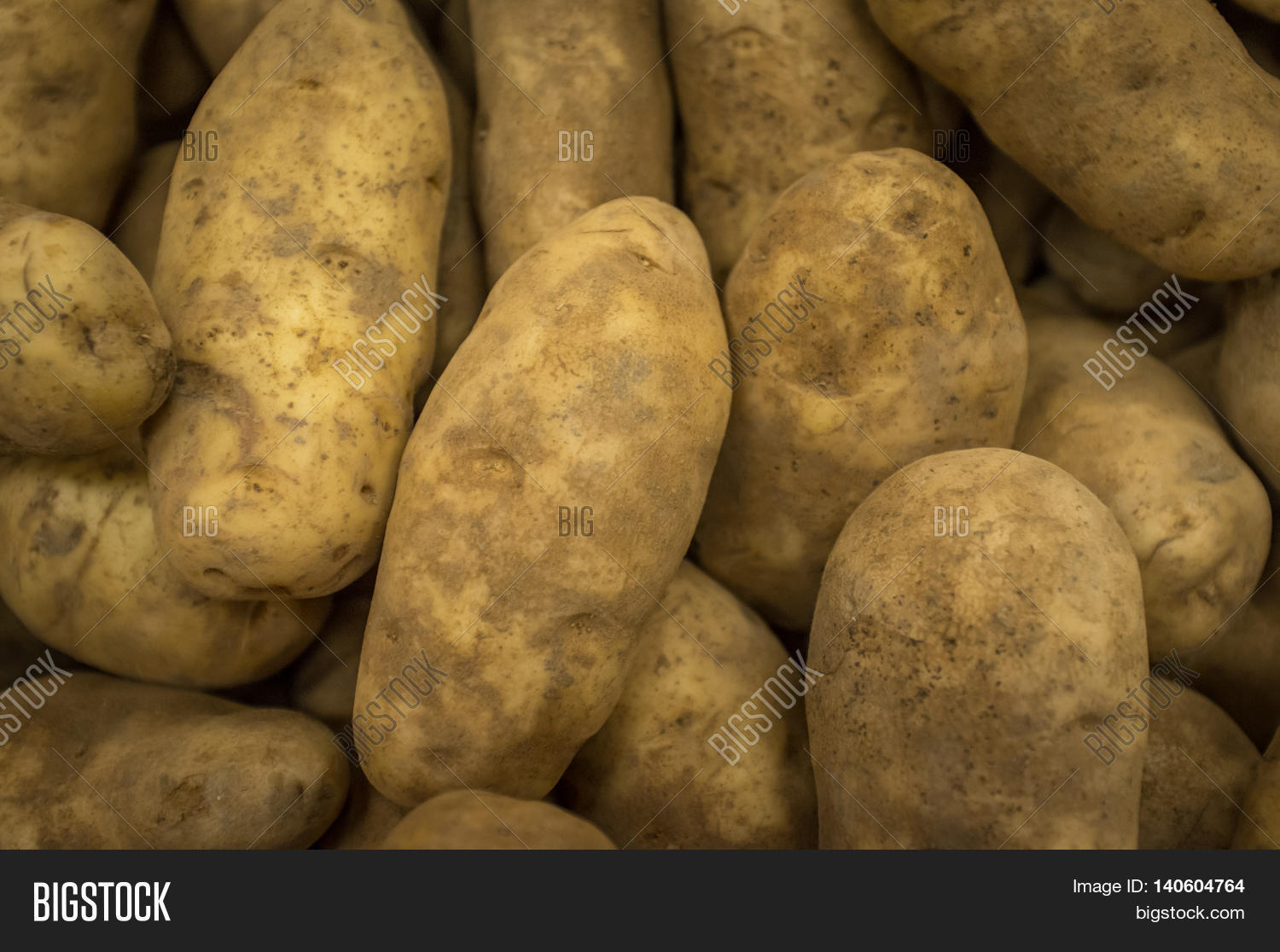 Closeup Organic Russet Image & Photo (Free Trial) Bigstock