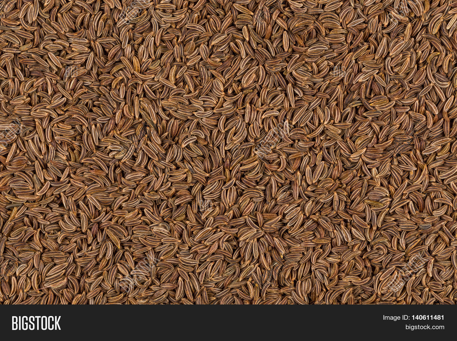 Close Caraway Seeds Image & Photo (Free Trial) | Bigstock