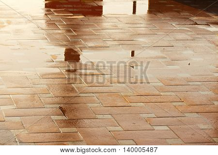 Puddle of water in rainy day