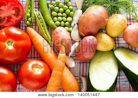 Healty Colorfull Kitchen