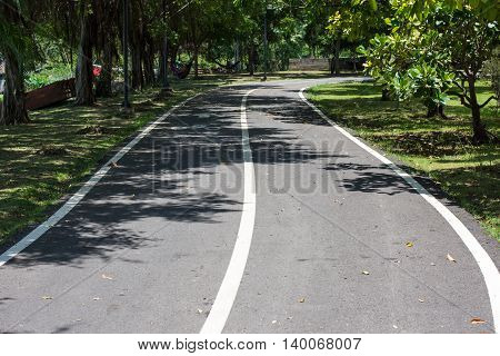 The only bike. asphalt, autumn, background, bicycle,