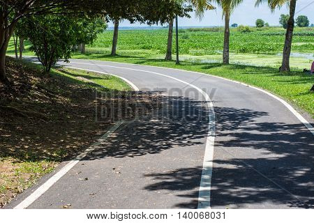 The only bike. asphalt, autumn, background, bicycle,