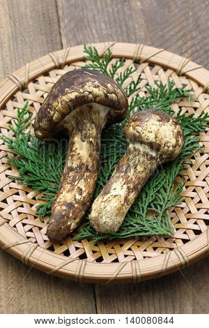 matsutake mushroom, japanese food
