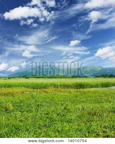 Green grass hills and blue sky with airy clouds