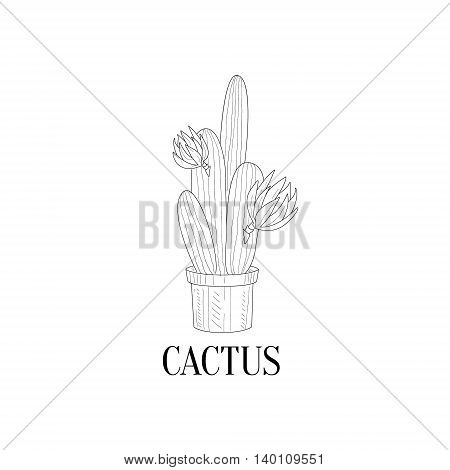 Blooming Tall Cactus In Pot Hand Drawn Realistic Detailed Sketch In Classy Simple Pencil Style On White Background