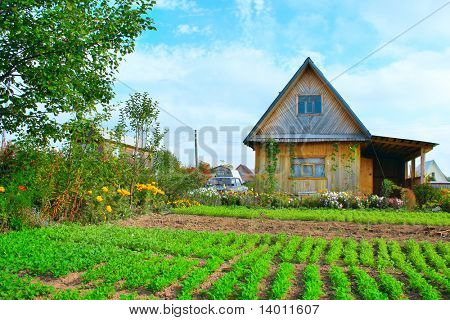 Cottage e trama giardino