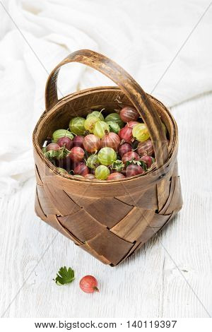 Birchbark basket full of ripe green and red gooseberries over white background, selective focus, vertical composition