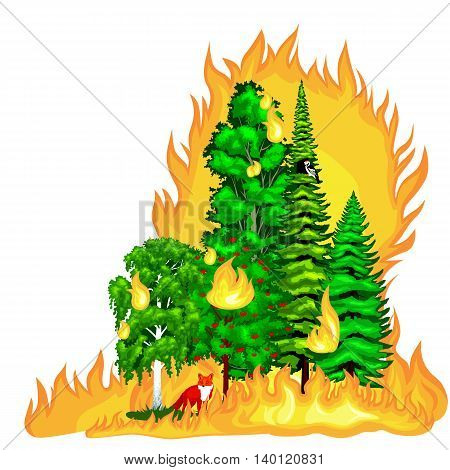 Forest Fire, fire in forest landscape damage, nature ecology disaster, hot burning trees, danger forest fire flame with smoke, blaze wood background vector illustration. Wildfire burning tree in red and orange color.