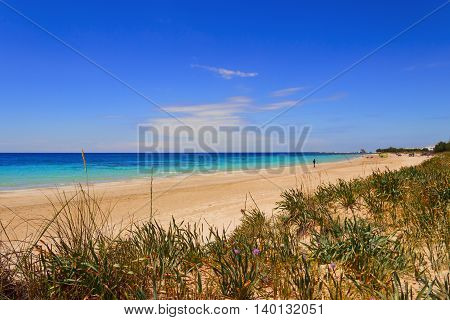 SUMMERTIME.Ionian coast of Salento:Torre Pali beach (Lecce). ITALY (Apulia)..The low sandy coastline is characterized by dunes covered with Mediterranean scrub.