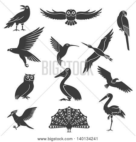 Stylized wild and exotic birds silhouettes black icons collection with pelican soaring eagle and peacock isolated vector illustration