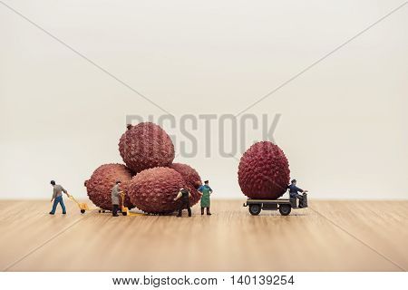 Group of Miniature movers loading lychees on truck.