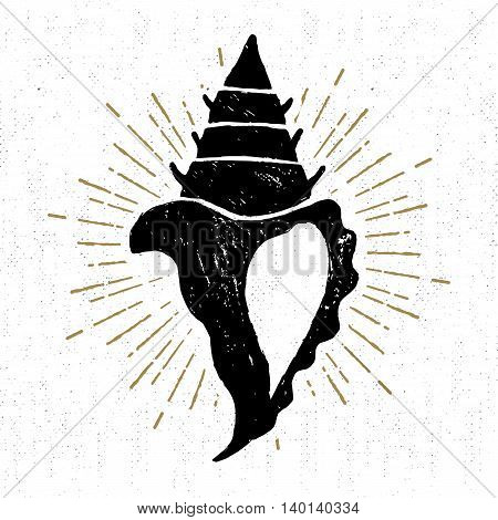 Hand drawn vintage icon with a textured conch seashell vector illustration.