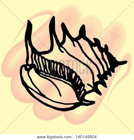 Doodles seashells icon on a white background.