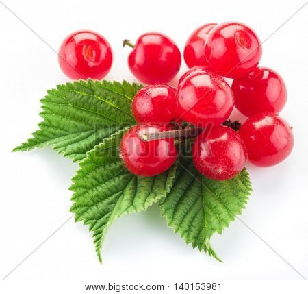 Nanking or felted cherry ftuits with leaves isolated on a white background.