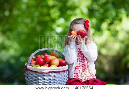 Child picking apples on a farm in autumn. Little girl playing in apple tree orchard. Kids pick fruit in a basket. Toddler eating fruits at fall harvest. Outdoor fun for children. Healthy nutrition.