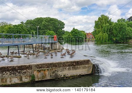 A weir on the River Thames at Pangbourne in Berkshire, UK.