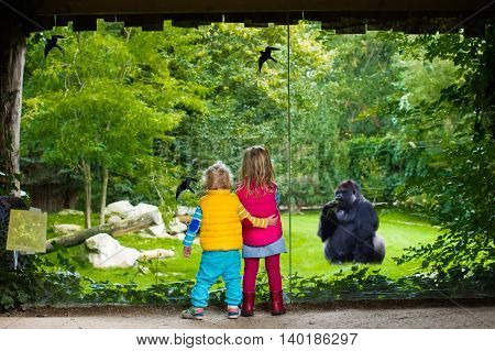 Two little kids boy and girl watch monkey show in the zoo on a cold autumn day. Children watching animals in safari park.