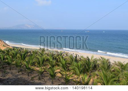 beautiful tropical beach with palm trees in muine vietnam