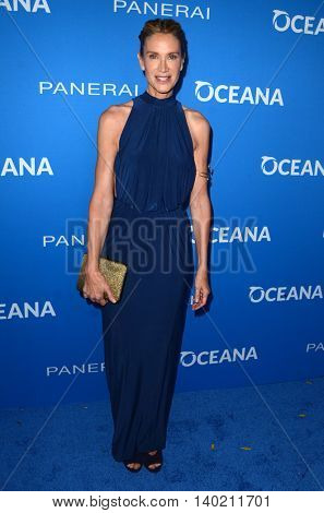 LOS ANGELES - JUL 19:  Kelly Lynch at the Oceana Presents Sting Under The Stars at the Private Home on July 19, 2016 in Los Angeles, CA