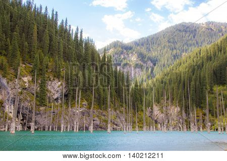 Kaindy Lake in Tien Shan mountain system Kazakhstan