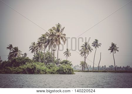 Allepey city on water. Backwaters, rice plantation, coconuts palm mango tree. River landscape