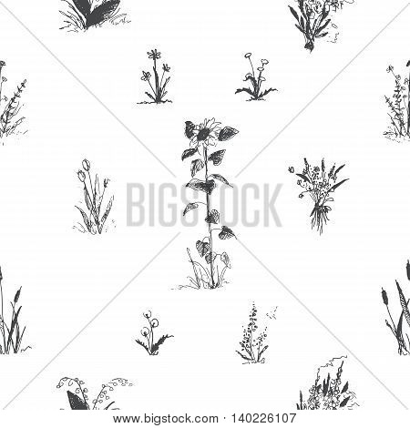 Hand drawn doodle flowers. Floral seamless pattern. Gray pencil outline, white background.