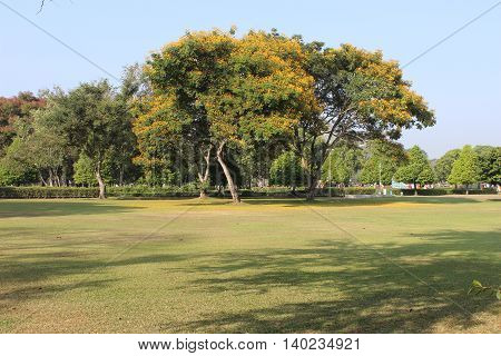 Beautiful Landscape Nature in Jogja city, Ypgyakarta,  Indonesia