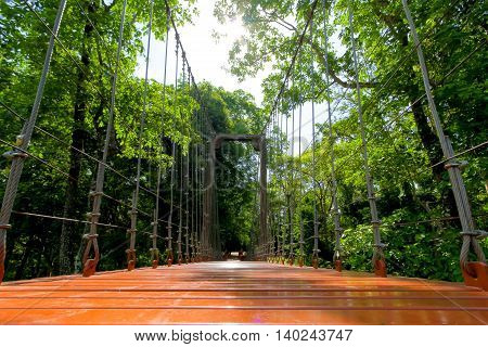 rope bridge or suspension bridge in forest at Khao Kradong Forest Park in Buriram ProvinceTHAILAND.