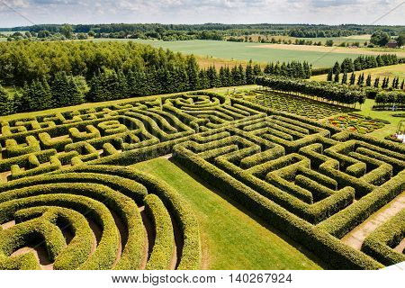 Green bushes labyrinth hedge maze. Top view.
